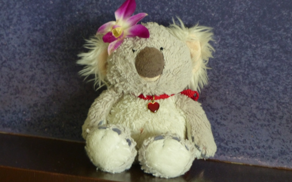 E082EE79-FCB2-4821-A51F-386ACFB7AA9E