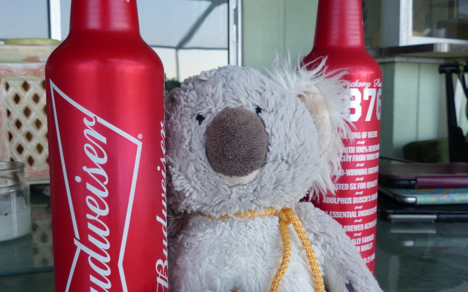 1195F8B2-111B-4D64-8F30-F19AB7501077