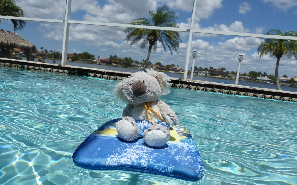 A1D6125D-3A8A-49A6-8FFB-6A35AB5EE729